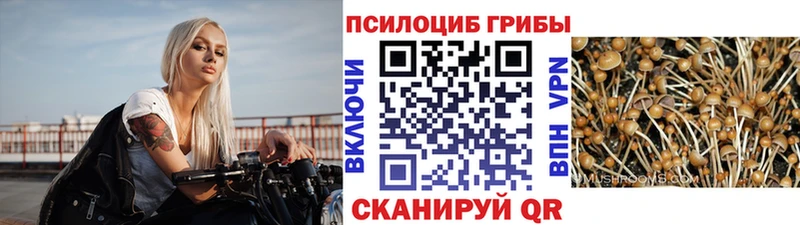 shop официальный сайт Полтавская Псилоцибиновые грибы ЛСД